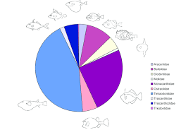 Pie Chart Of Species Diversity Of The 10 Extant