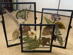 Now that you know how to press flowers, it's time to display all make sure the glass frame is spotless before using it. How To Press Plants Learn About Pressing Leaves And Flowers