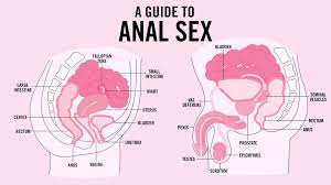 Tips anal sex