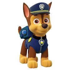 meet your favorite paw patrol characters