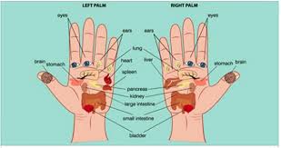 According To Reflexology You Can Press These Points On Your