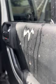 protect car doors from dog scratches