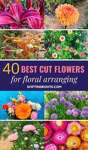 The 40 Best Cut Flowers To Feed Your