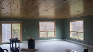 tongue and groove paneling for home