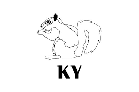 Gray Squirrel Ky Svg Cut File By Creative Fabrica Crafts Creative Fabrica