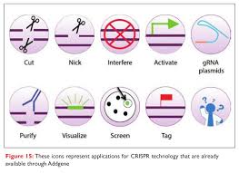 crispr cas9 transforming gene editing