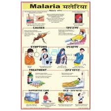 Malaria Chart India Malaria Chart Manufacturer Malaria