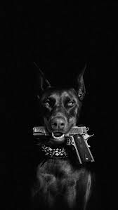 dog with gun perro black dogs