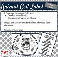 Animal Cell Label W Word Bank Word