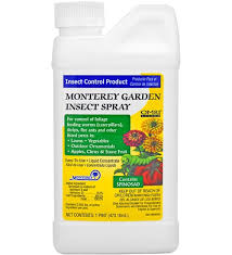 garden insect spray spinosad by