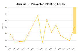 2019 Us Corn Acreage Yield Dilemma And Supply Demand