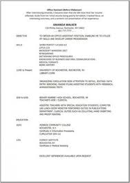     Sample curriculum vitae layout Download toubiafrance com