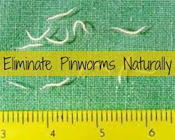 How To Eliminate Pinworms Naturally