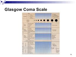 Pediatric Glasgow Coma Scale Pdf Files