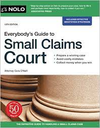 everybody s guide to small claims court