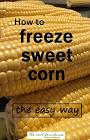 best ever way to freeze sweet corn