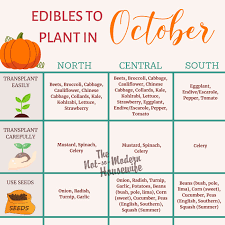 what to plant in florida in october
