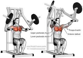 Machine Chest Press Exercise Instructions And Video