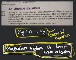 1 1 Chemical Equations Activity 1 1 Can