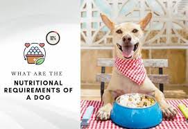 nutritional requirements for a dog