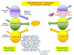 colorblindness tritanopia hereditary