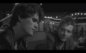 an analysis of the character rusty james from the movie rumble fish an analysis of the character rusty james from the movie rumble fish 1983