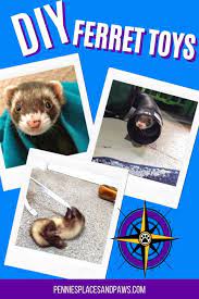 diy ferret toys 9 easy and affordable