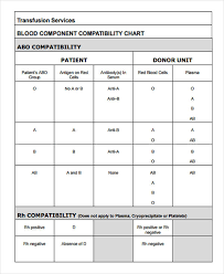 Compatibility Chart 7 Examples In Word Pdf
