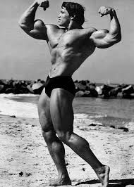 Arnold Schwarzenegger Son Bodybuilding Wallpaper 3 Arnold