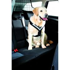 Allsafe Comfort Dog Safety Harness