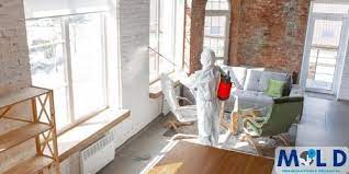 Mold Remediation Texas Mold Removal