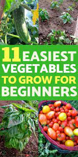 11 Easiest Vegetables To Grow For