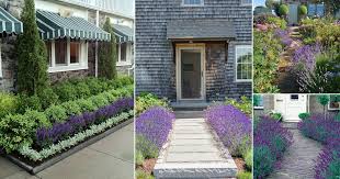 Landscaping With Lavender 7 Garden