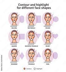 highlight makeup guide vector set