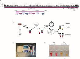 direct diagnostic testing of sars cov 2