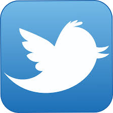 Download this tweet, twitter, twitter logo icon in solid style from the social media category. Twitter Logo Png