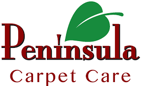 carpet cleaning consumer awareness guide