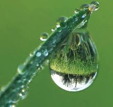 the benefits of rainwater earth