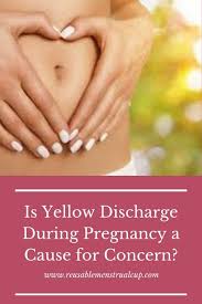 During the first trimester, vaginal excreta are still affected by progesterone: Yellow Discharge During Pregnancy Pale Yellow Discharge