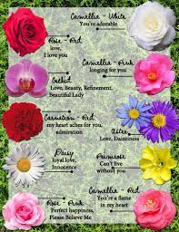 15 romantic flowers and their meanings. The History Of Flower Symbolism Love Flower Symbolism Love Http Bit Ly 2nqwblo Flower Meanings Language Of Flowers Types Of Flowers