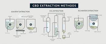 And after many cbd oil productions with some bad performances and many good ones, the wealth of this guide to making cbd oil is designed to give readers an insight into how to make cbd oil yourself. Cbd Extraction Crash Course Everything You Need To Know