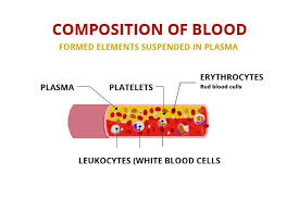 understanding blood composition and its