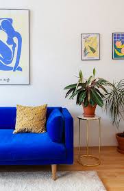royal blue sofa and houseplant on side