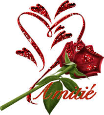 نتيجة بحث الصور عن amitier