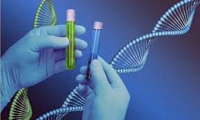 Image result for dna analysis images