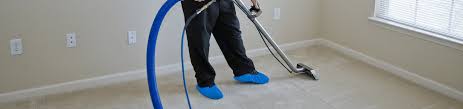 stains and pet odor removal spotless