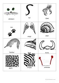 Pictures also help clarify the meanings of vocabulary and language used to talk about diagnostic procedures and treatments. Animal Body Parts Bingo English Esl Worksheets For Distance Dictionaries Math Fight Animal Body Parts Worksheets Worksheets Ap Math Grade 10 Teacher Sheets Division Tables Games Math Fraction Sums Math Riddles For