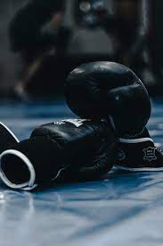 500+ Boxing Pictures [HD]