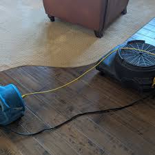 carpet cleaning in carlsbad ca
