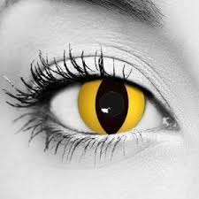 A wide variety of cat contact lense options are available to you, such as. Yellow Cat Theatrical Contact Lenses Gothika Pair Makeup Medley By Pnta
